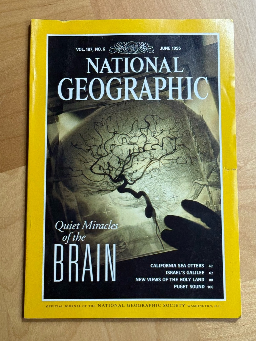 National Geographic Magazine Vol. 187 No.6 Quiet Miracles of The Brain June 1995